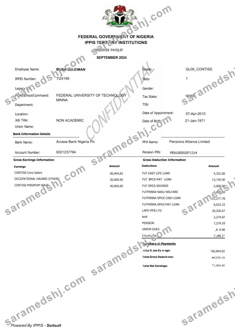 Federal Government of Nigeria employee payslip template in Word and PDF formats.pdf, 1